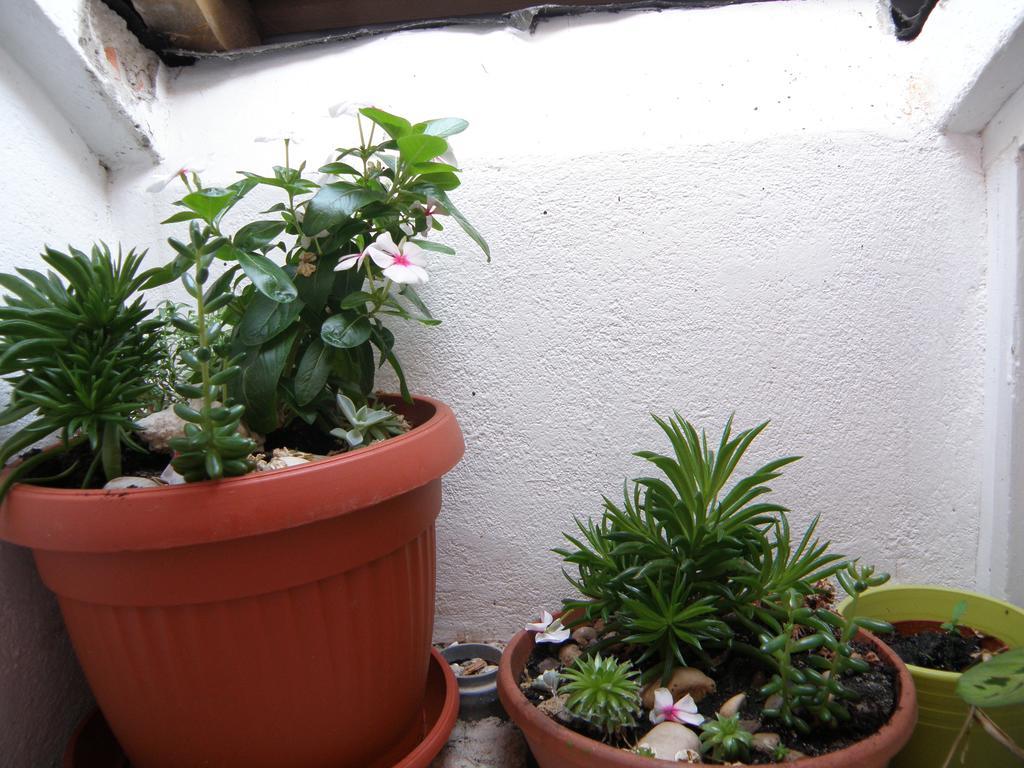 Apartment Amalija Primošten Dış mekan fotoğraf